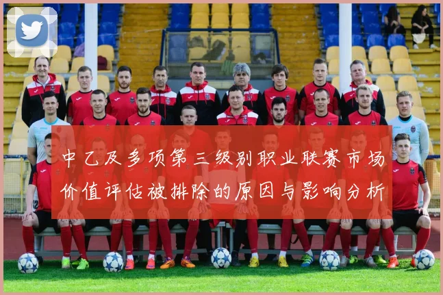 中乙及多项第三级别职业联赛市场价值评估被排除的原因与影响分析