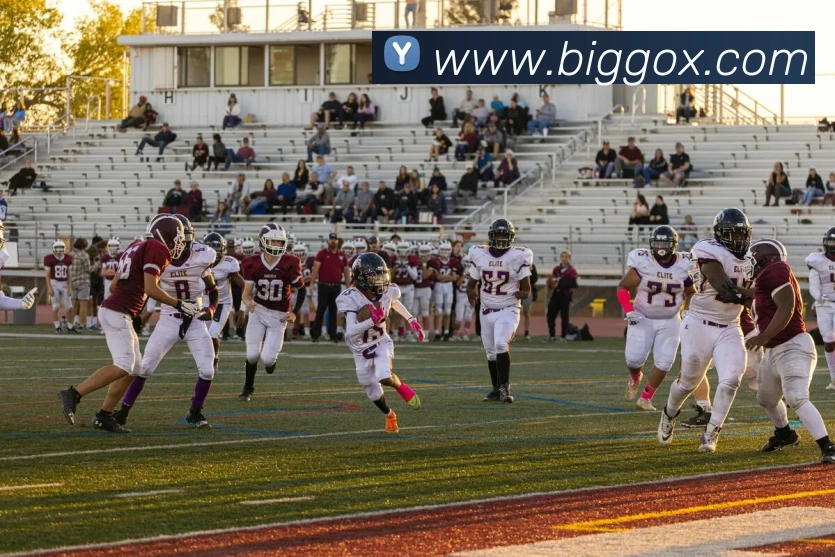 九游体育平台官网平台生态图