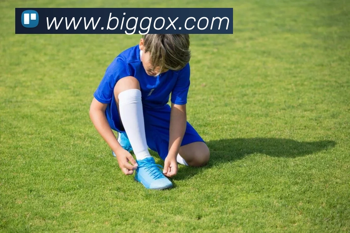 九游体育平台官网全站App